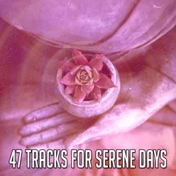 47 Tracks For Serene Days