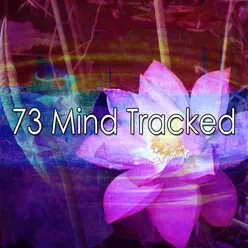 73 Mind Tracked