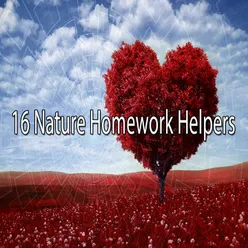 16 Nature Homework Helpers