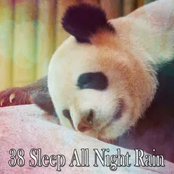 38 Sleep All Night Rain