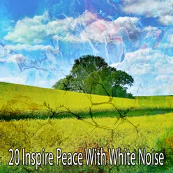 White Noise Peaceful Wonderland