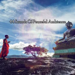 44 Sounds Of Peaceful Ambience