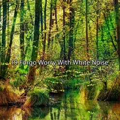 19 Forgo Worry With White Noise