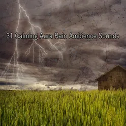 31 Calming Aura Rain Ambience Sounds