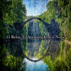 15 Relax To Soothing Forest Noise