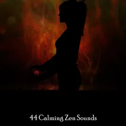 44 Calming Zen Sounds