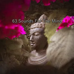 63 Sounds For The Mind
