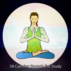 58 Calming Sounds For Study