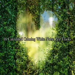 16 Calculated Calming White Noise Zen Tracks