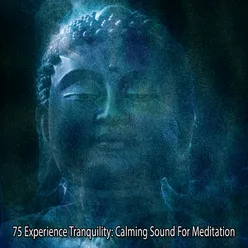 !!!! 75 Experience Tranquility: Calming Sound For Meditation !!!!