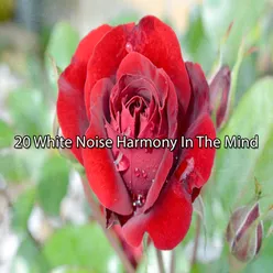 !!!! 20 White Noise Harmony In The Mind !!!!