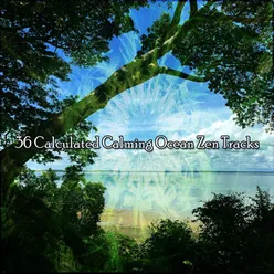 !!!! 36 Calculated Calming Ocean Zen Tracks !!!!