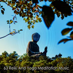 !!!! 63 Reiki And Yoga Meditation Music !!!!