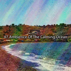 !!!! 47 Ambience Of The Calming Ocean !!!!