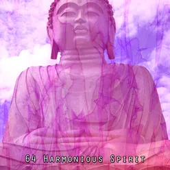 64 Harmonious Spirit