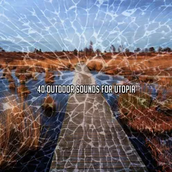 40 Outdoor Sounds For Utopia