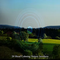 29 Head Calming Nature Soothers