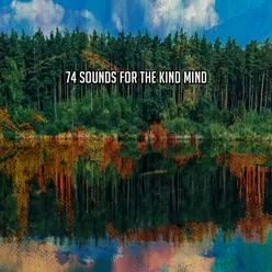 74 Sounds For The Kind Mind