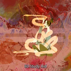 80 Study Aid