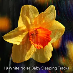 19 White Noise Baby Sleeping Tracks