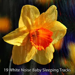 White Noise Hope And Sleep