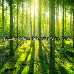 16 Calm Natural Relaxation White Noise