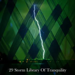 29 Storm Library Of Tranquility