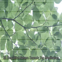 25 Beautiful Nature Sounds For Meditation