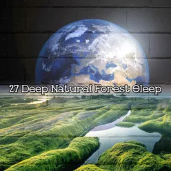 27 Deep Natural Forest Sleep
