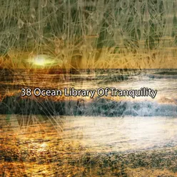 38 Ocean Library Of Tranquility