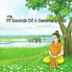 79 Sounds Of A Serene World
