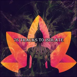 76 Tracks To Isolate