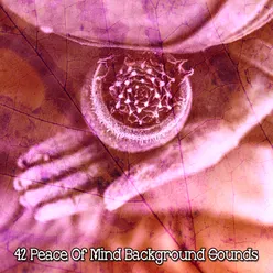 42 Peace Of Mind Background Sounds