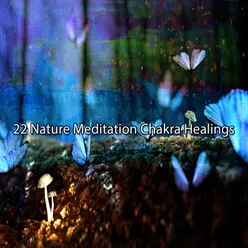 22 Nature Meditation Chakra Healings