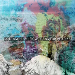 34 Tranquil Music & Ocean For Reading