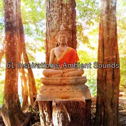 61 Inspirational Ambient Sounds