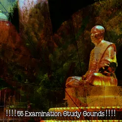 ! ! ! ! 55 Examination Study Sounds ! ! ! !