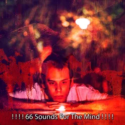 ! ! ! ! 66 Sounds For The Mind ! ! ! !