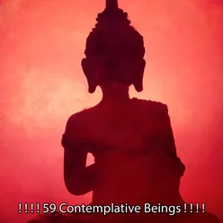 ! ! ! ! 59 Contemplative Beings ! ! ! !