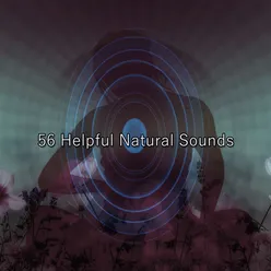 56 Helpful Natural Sounds
