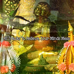 47 Tracks To Relieve Your Minds Mess