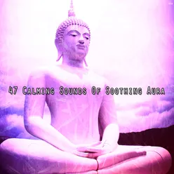 47 Calming Sounds Of Soothing Aura