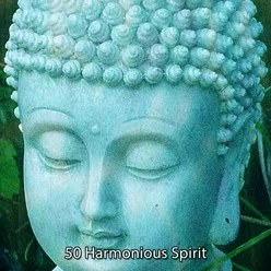 50 Harmonious Spirit
