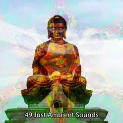 49 Just Ambient Sounds