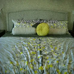 67 Deep Natural Sleep