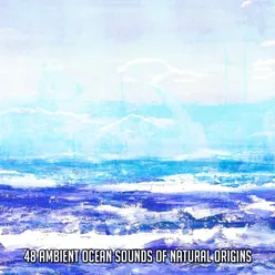 48 Ambient Ocean Sounds Of Natural Origins