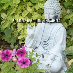 Buddhas Direction