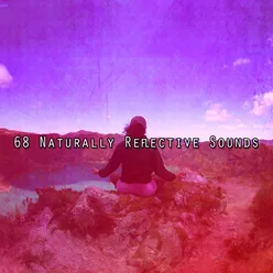 68 Naturally Reflective Sounds