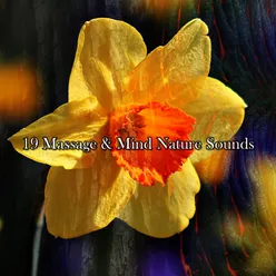 19 Massage & Mind Nature Sounds