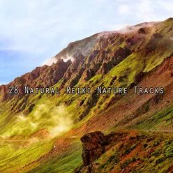 28 Natural Reiki Nature Tracks